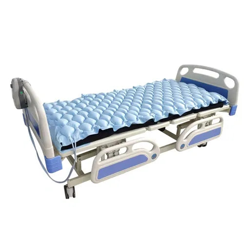 Alternating Pump and Pad Blue Jay