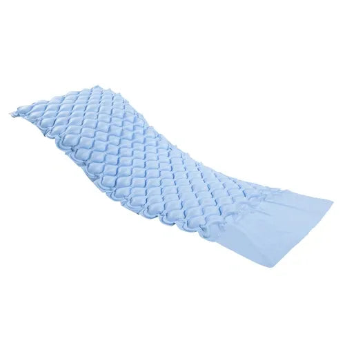 Alternating Pump and Pad Blue Jay